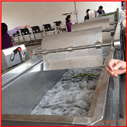 紅薯加工清洗機(jī)Fruit and vegetable cleaning machine 沖孔鏈板清洗